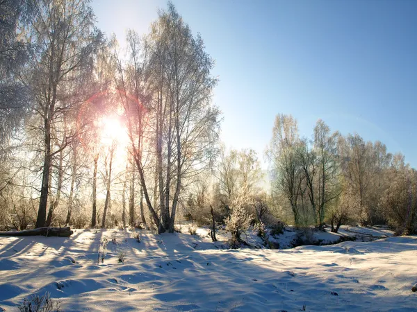 Зимний пейзаж с утренним солнцем и снежными деревьями за городом . — стоковое фото