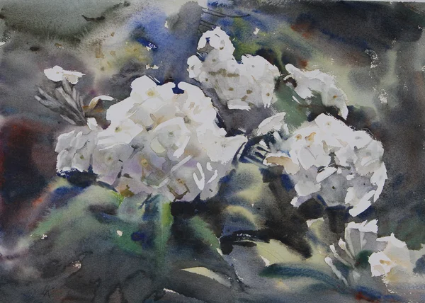Akvarel krásné květiny. — Stock fotografie