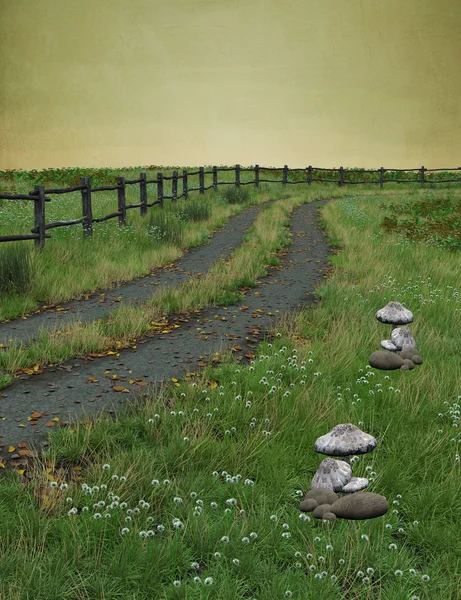 Autumn pathway with mushrooms — Stock Photo, Image