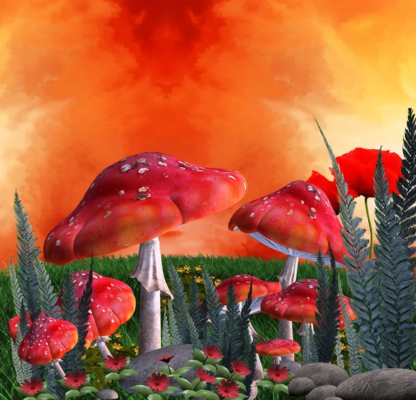 Lugar dos cogumelos — Fotografia de Stock