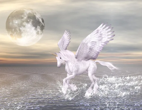 Verzauberter Pegasus — Stockfoto