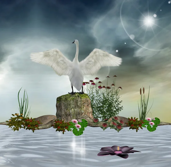 Enchanted swan — Stock Photo, Image