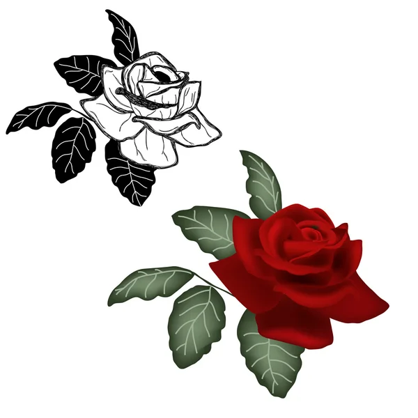 Rose pintada en diferentes estilos — Vector de stock