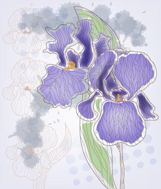 Iris - flowers in vintage style clipart