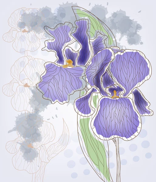 Ирис - цветы в винтажном стиле — стоковый вектор