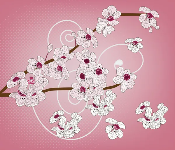 Flor de cerezo - rama artística — Vector de stock