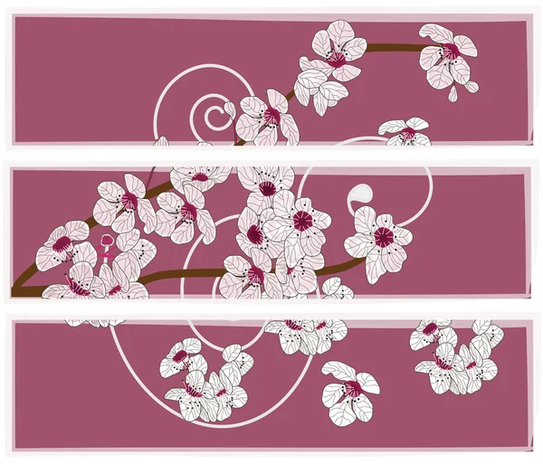 Panel artístico con flores de flor de cerezo — Archivo Imágenes Vectoriales
