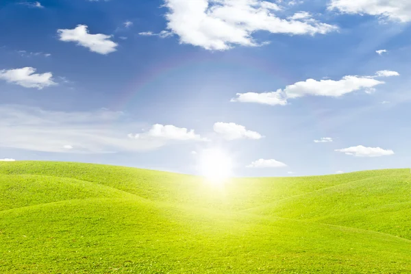 Зеленое травяное поле, закат и голубое небо — стоковое фото