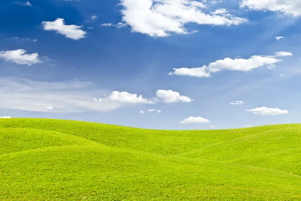 Green grass meadow — Stock Photo, Image