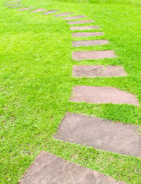 Pietra da passeggio su erba verde — Foto Stock