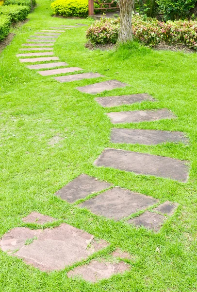 Walking stone on green grass