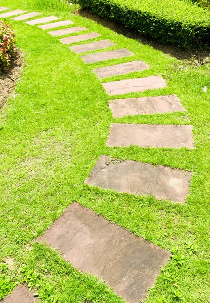 stock image Walking stone on green grass