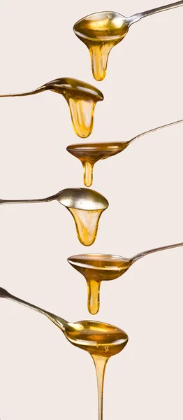 Miel que gotea —  Fotos de Stock