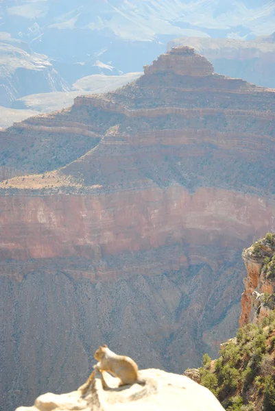 Grand Canyon — Stockfoto