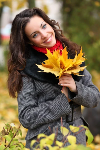 Дівчина в парку барвиста осінь — стокове фото