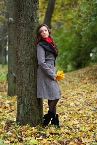 Дівчина в парку барвиста осінь — стокове фото