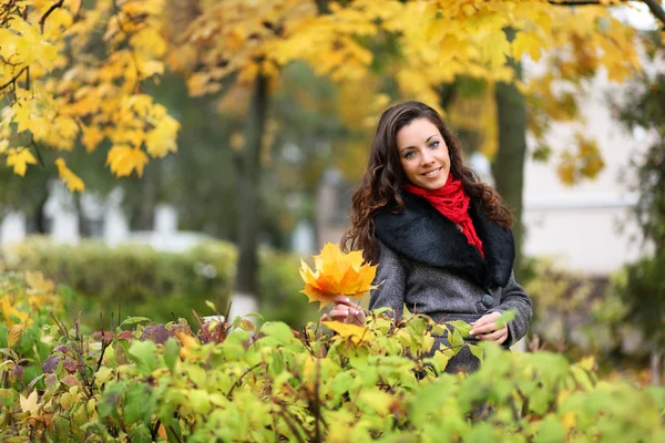 Chica en el parque colorido otoño Imagen de stock