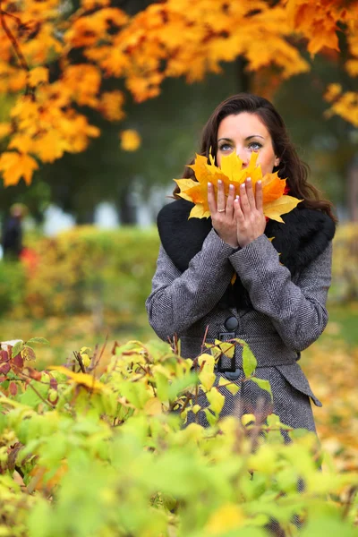 Дівчина в парку барвиста осінь Ліцензійні Стокові Фото