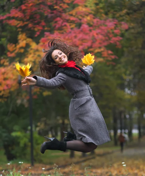 Park renkli sonbahar kız Stok Fotoğraf