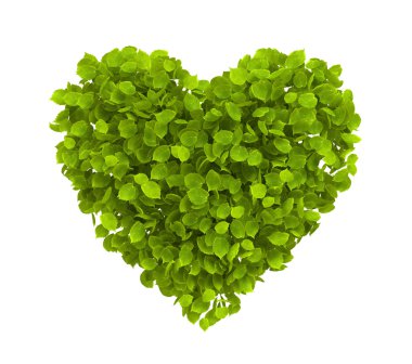 Green leaves heart clipart