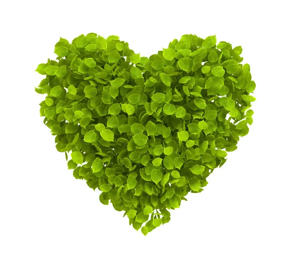 Yeşil Yapraklar Kalbi — Stok fotoğraf