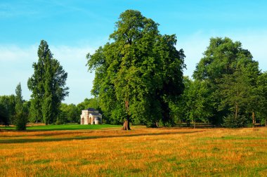 Kensington garden, Londra