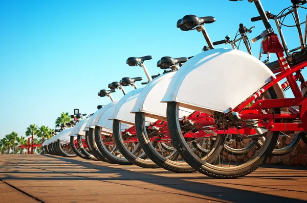 Bicicletas para alugar em Barcelona - Espanha . — Fotografia de Stock
