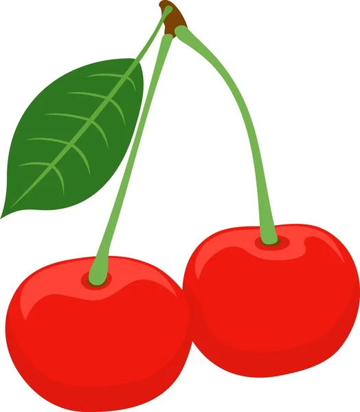 Cherry — Stock Vector