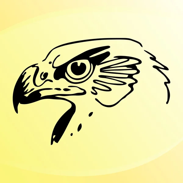 Kopf eines Adlers — Stockvektor