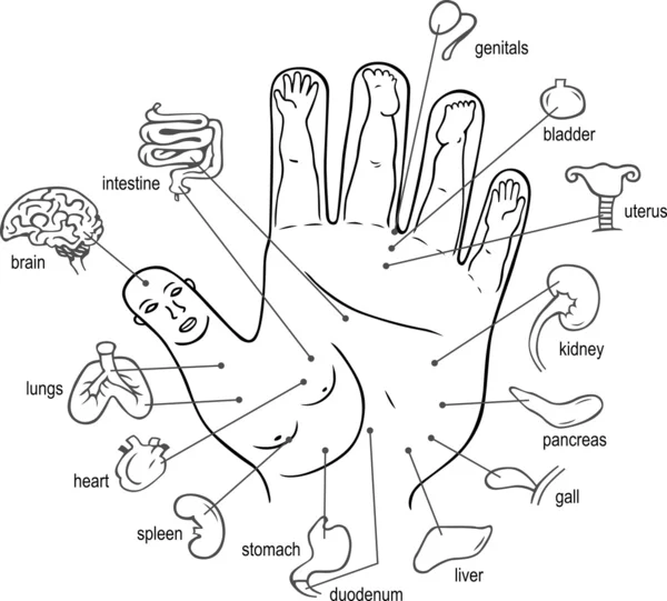 Punti di agopuntura sul palmo della mano — Vettoriale Stock