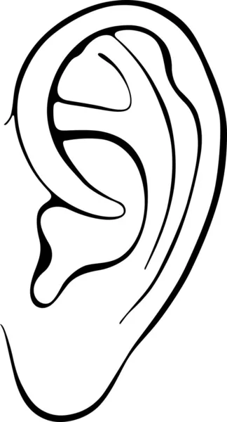 Lidské ucho — Stockový vektor