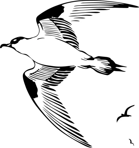 Fliegende Vögel — Stockvektor