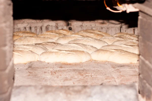 原料面包面团烤 — 图库照片