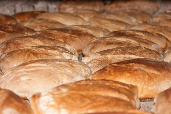 Świeżo chleb pieczony, Grzanka — Zdjęcie stockowe