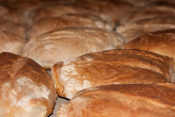 新鲜烤制的面包、 吐司 — 图库照片