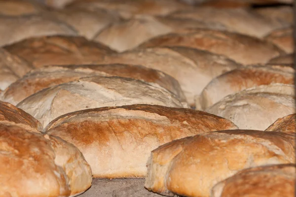 Świeżo chleb pieczony, Grzanka — Zdjęcie stockowe