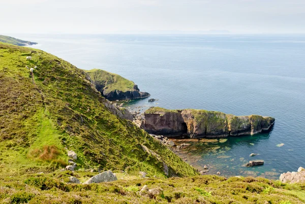 Шотландское западное побережье, мыс Руа-Рейд — стоковое фото