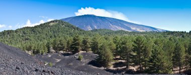 The volcano Etna landscape clipart