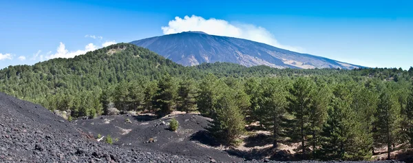O vulcão Etna paisagem — Fotografia de Stock