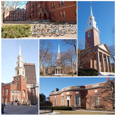 Boston Üniversitesi kolaj