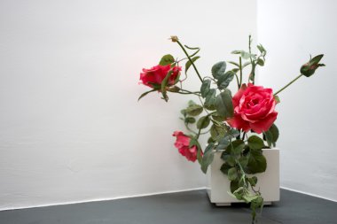 Kırmızı bir gül.