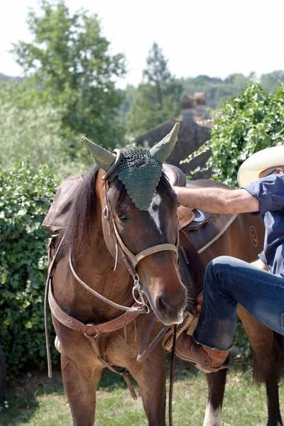 A man getting on a horse — Stock Photo, Image