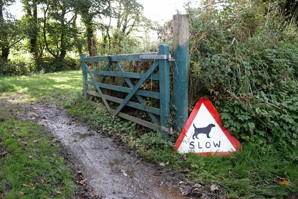Slow, dog crossing sign — Stock Photo, Image