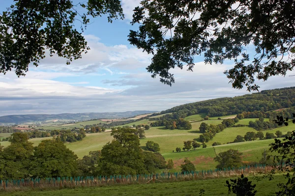 Glooiende landschap van het platteland — Stockfoto