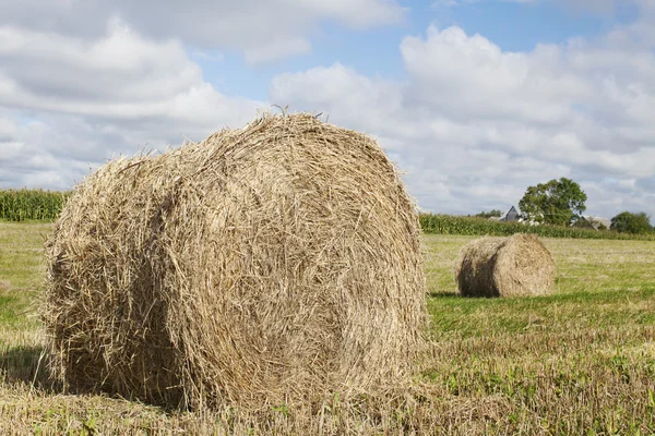 stock image Straw bale