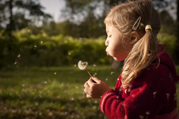 Blowing a dandelion — Stock Photo, Image