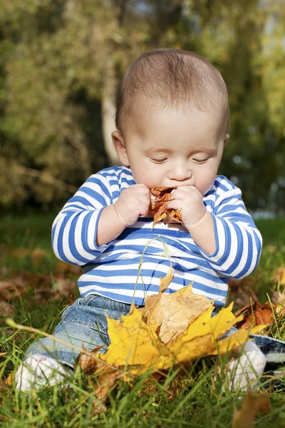 A tasty autumn — Stock Photo, Image