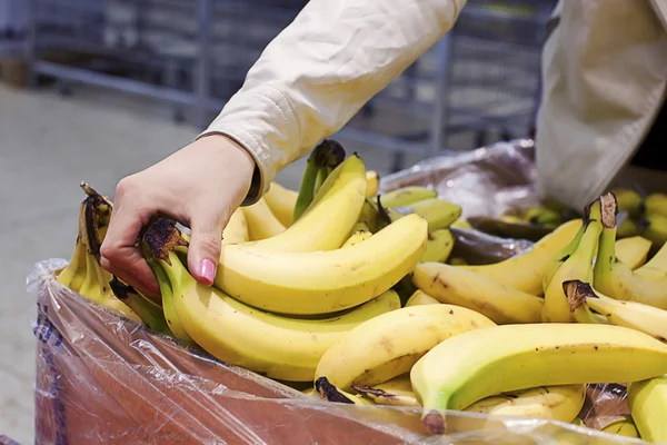 stock image Bananas