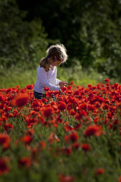 Girl on a poppy field — Stock Photo, Image