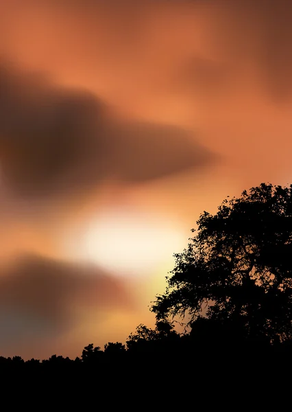 Vecteur coucher de soleil — Image vectorielle
